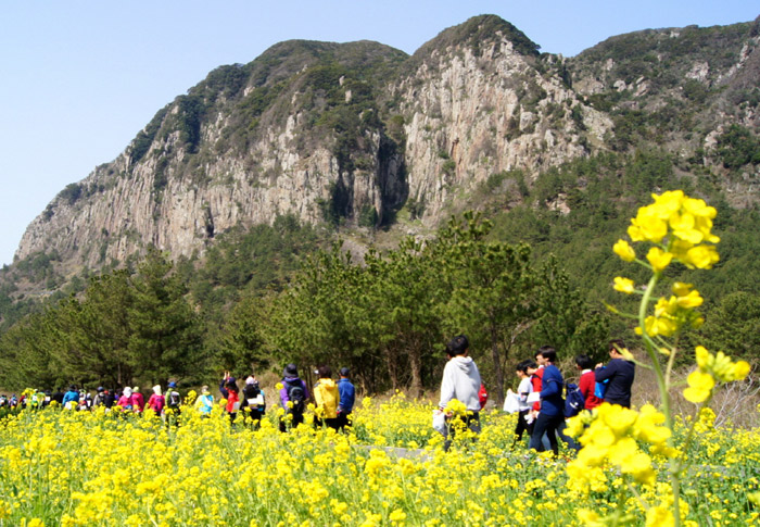 Jeju_yuchae_L1.jpg