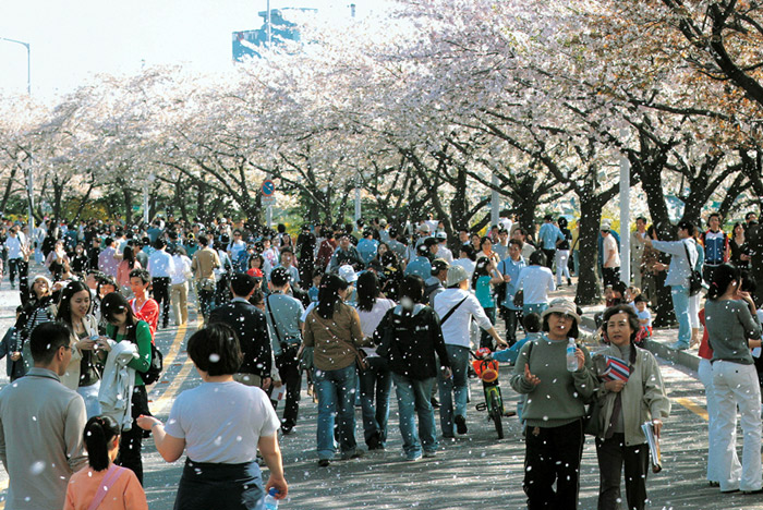 Yeouido_L1.jpg