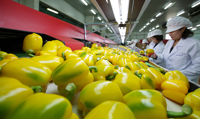 Hamangun-County_Local_Article_04.jpg Hamangun-County_Local_Article_04.jpg