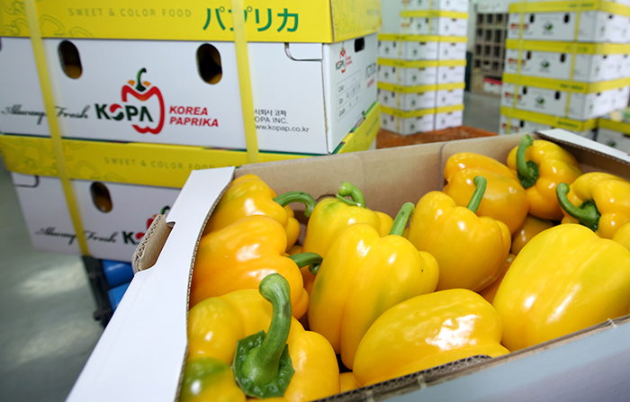 Hamangun-County_Local_Article_05.jpg Hamangun-County_Local_Article_05.jpg