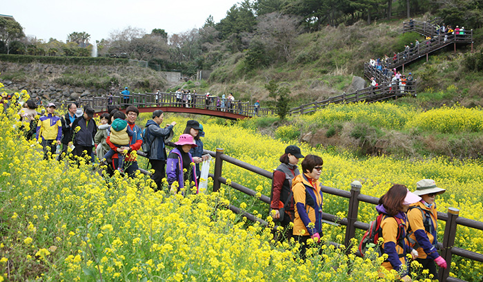 20170314 Jeju Walking.jpg